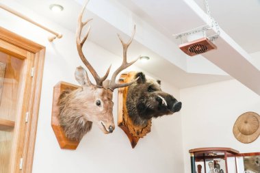 Bir duvarda boynuzları ile avcı odanın fotoğrafı