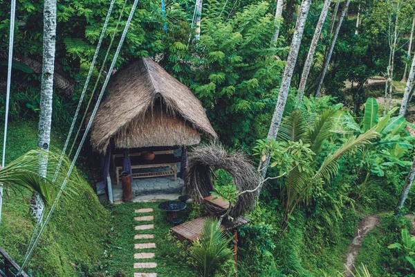 Endonezya 'nın Bali adasındaki bir pirinç terasında büyük bir kuş yuvası, kalp şeklinde dallar ve samandan bir ev fotoğrafı.