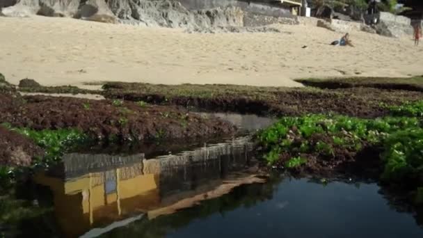 Vídeo Mar Moldado Água Azul Com Rochas Nuas Recifes Verdes — Vídeo de Stock