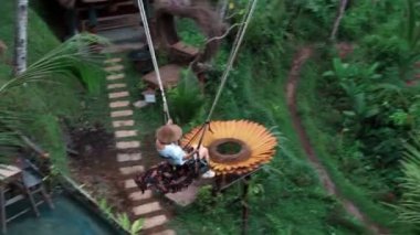 Bali Adası 'ndaki pirinç tarlasında uzun göçebelerin videosu.