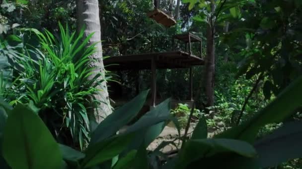 バリ島のインドネシアの棚田で男と一緒に長い遊牧民のビデオ — ストック動画