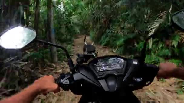 Montando Uma Motocicleta Uma Estrada Pavimentada Primeira Pessoa Bali — Vídeo de Stock