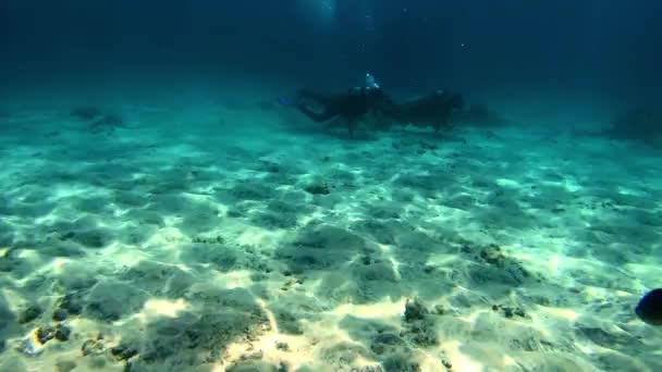 Horgonyzó Sokszínű Korallok Kék Vízben Úszó Búvárok — Stock videók