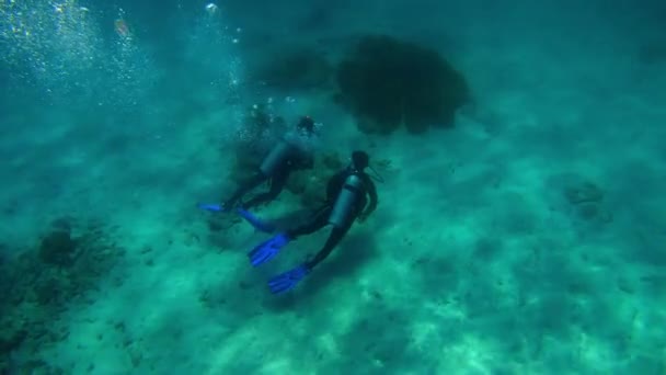 Kolorowe Koralowce Cumownicze Niebieskiej Wodzie Pływającymi Nurkami — Wideo stockowe