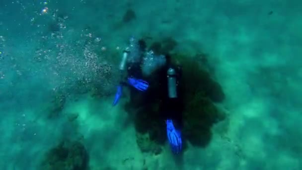 Mooring Multicolored Corals Blue Water Floating Divers — Stock Video