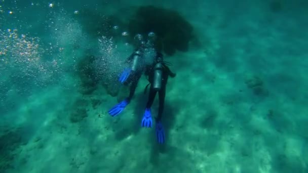 Mooring Multicolored Corals Blue Water Floating Divers — Stock Video