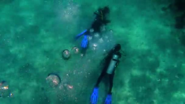 Meerkleurige Koralen Aanleggen Blauw Water Met Drijvende Duikers — Stockvideo