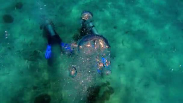 Moniväristen Korallien Kiinnittäminen Siniseen Veteen Kelluvien Sukeltajien Kanssa — kuvapankkivideo
