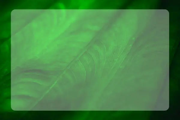 フレーム内の葉に沿って線で熱帯緑の葉のイラスト — ストック写真