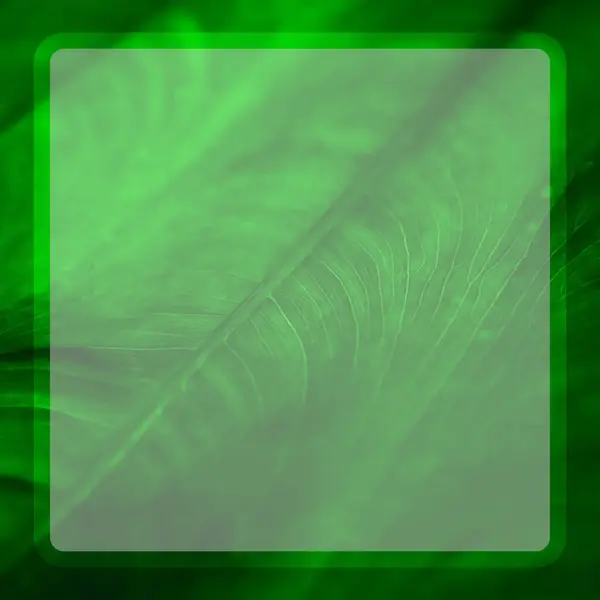 Иллюстрация Тропического Зеленого Листа Линиями Вдоль Листа Рамке — стоковое фото