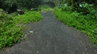 Ormanın yüksek bir dağdaki uçuruma kadar uzanan kayalık bir nehir ve yeşil ağaçla ilgili birinci şahıs videosu.