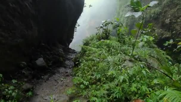 Pierwszoosobowy Film Dżungli Klifu Wysokiej Górze Rzeką Skalną Zielonymi Drzewami — Wideo stockowe