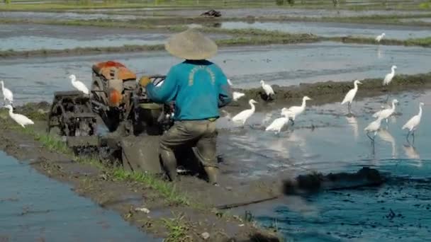 농부들은 트랙터 사용하여 토양을 — 비디오