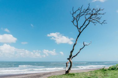 Endonezya 'nın Bali adasındaki kumsala düşen büyük dalgaların fotoğrafı.