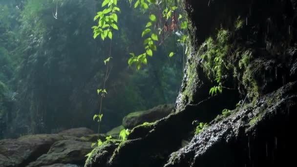Vídeo Una Selva Acantilado Una Alta Montaña Con Río Roca — Vídeo de stock