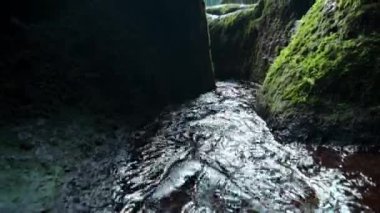 Bir kayalık nehir ve yeşil ağaçlarla yüksek bir dağdaki bir ormanın videosu.