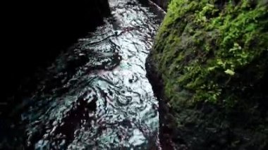 Bir kayalık nehir ve yeşil ağaçlarla yüksek bir dağdaki bir ormanın videosu.