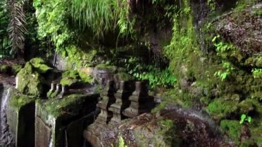 Ormanda yosun ve taşların üzerine düşen su damlalarının olduğu keskin kayaların videosu.