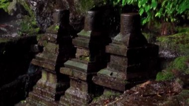 Ormanda yosun ve taşların üzerine düşen su damlalarının olduğu keskin kayaların videosu.