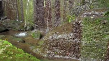 Ormanda terk edilmiş taştan yapılmış eski bir binanın videosu.
