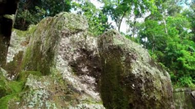 Ormanda terk edilmiş taştan yapılmış eski bir binanın videosu.