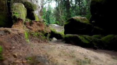 Ormanda terk edilmiş taştan yapılmış eski bir binanın videosu.