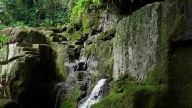 Bir kayalık nehir ve yeşil ağaçlarla yüksek bir dağdaki bir ormanın videosu.