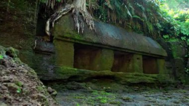 Ormanda terk edilmiş taştan yapılmış eski bir binanın videosu.