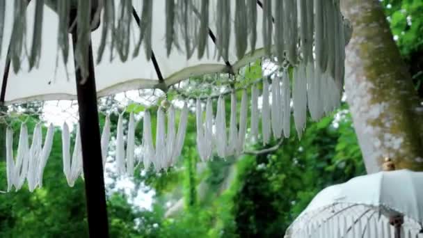 一个古老的白色装饰面料雨伞从太阳下站在森林里的视频 — 图库视频影像