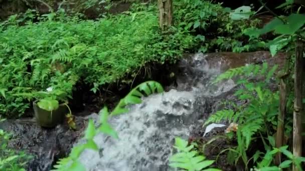 Wideo Dżungli Urwiska Wysokiej Górze Rzeką Skalną Zielonymi Drzewami — Wideo stockowe