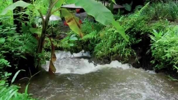 视频中的丛林到了高山上的悬崖上 山中有一条石河和绿树 — 图库视频影像
