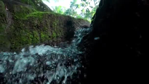 vidéo d'une jungle à une falaise sur une haute montagne avec une rivière rocheuse et des arbres verts