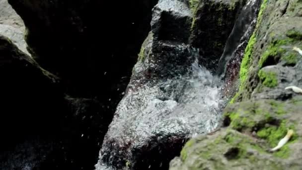 Vídeo Una Selva Acantilado Una Alta Montaña Con Río Roca — Vídeo de stock