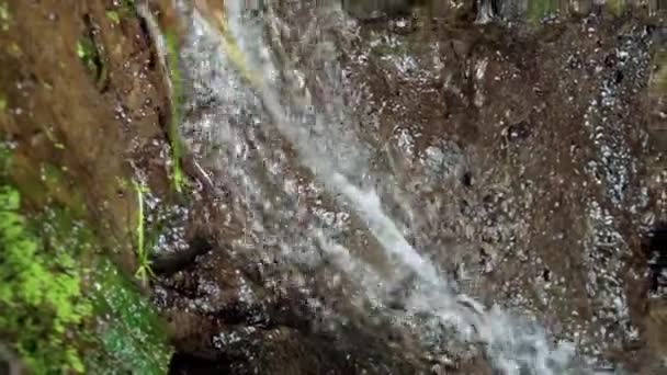 Wideo Dżungli Urwiska Wysokiej Górze Rzeką Skalną Zielonymi Drzewami — Wideo stockowe