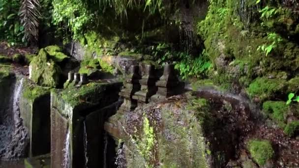 Video Rocas Afiladas Con Musgo Selva Gotas Agua Cayendo Sobre — Vídeo de stock