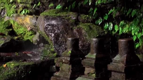 Video Rocas Afiladas Con Musgo Selva Gotas Agua Cayendo Sobre — Vídeos de Stock