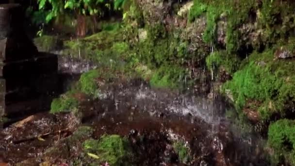 Wideo Ostrych Skał Mchem Dżungli Kroplami Wody Spadającymi Kamienie — Wideo stockowe