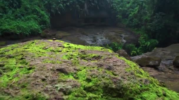 Video Staré Budovy Kamene Opuštěné Džungli — Stock video