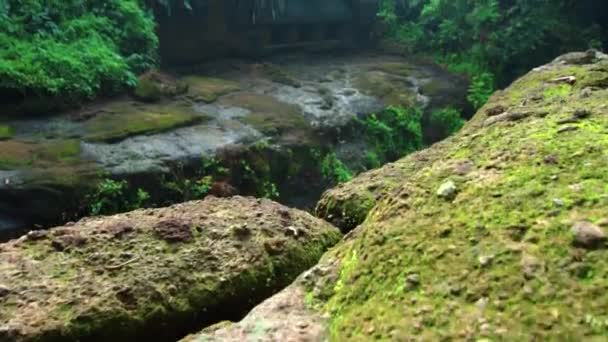 Видео Старого Здания Камня Заброшенного Джунглях — стоковое видео