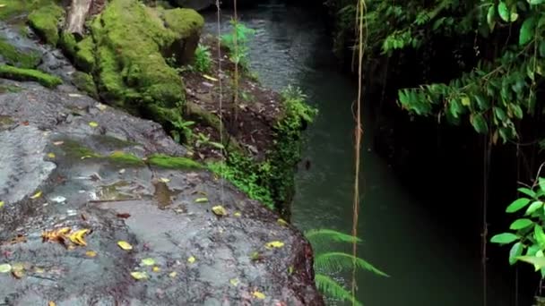 Wideo Dżungli Urwiska Wysokiej Górze Rzeką Skalną Zielonymi Drzewami — Wideo stockowe