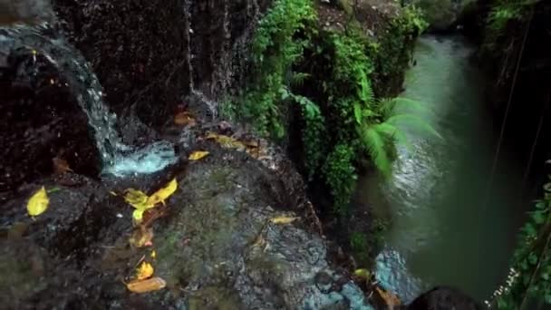 Видео Джунглей Скале Высокой Горе Скальной Рекой Зелеными Деревьями — стоковое видео