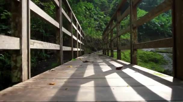 Vidéo Vieux Pont Bois Traversant Une Rivière Montagne Dans Jungle — Video