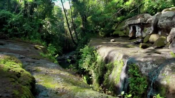 Vidéo Vieux Bâtiment Pierre Abandonné Dans Jungle — Video