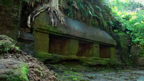 Vídeo Edifício Antigo Feito Pedra Abandonada Selva — Vídeo de Stock