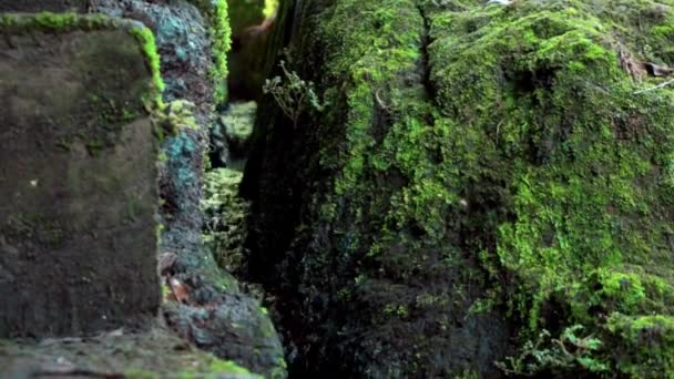 Vídeo Una Selva Acantilado Una Alta Montaña Con Río Roca — Vídeo de stock