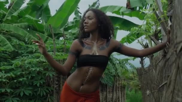 Güzel Esmer Afrikalı Bir Kızın Videosu Makyajlı Vücuduna Etnik Çizgiler — Stok video