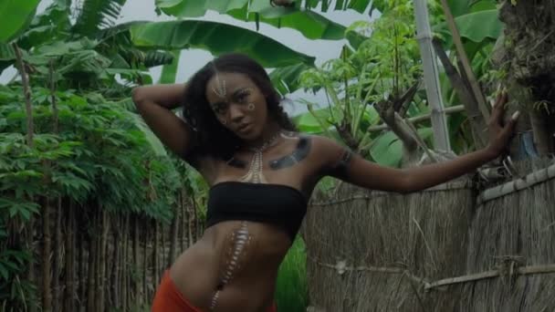 Video Vacker Ung Brunett Afrika Flicka Med Makeup Och Målade — Stockvideo