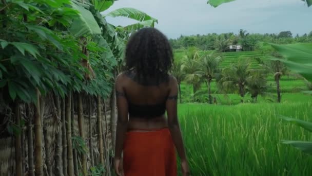 Video Una Bella Giovane Ragazza Bruna Africa Con Trucco Linee — Video Stock