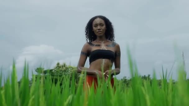 Video Krásné Mladé Brunetky Afrika Dívka Make Upem Malované Etnické — Stock video