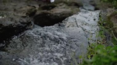 Güzel, genç, esmer Avrupalı bir kızın videosu. Makyajlı ve vücuduna etnik çizgiler çizmiş. Tropikal bir bahçede yürüyor.